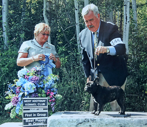 Lacy at Castlegar