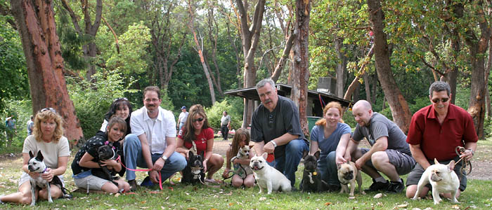 Frenchie Walk at Lincoln Park