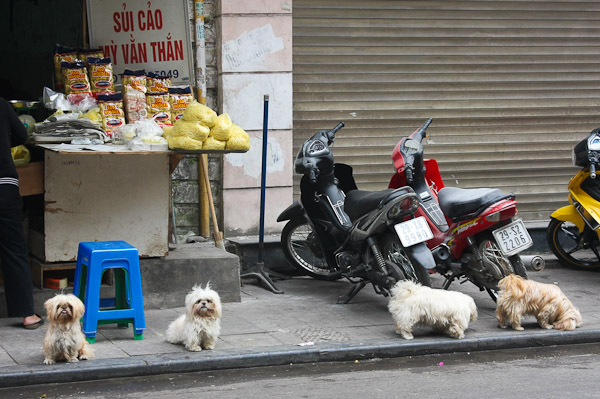 In Hanoi