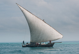 Dhow off the coast of Zanzibar